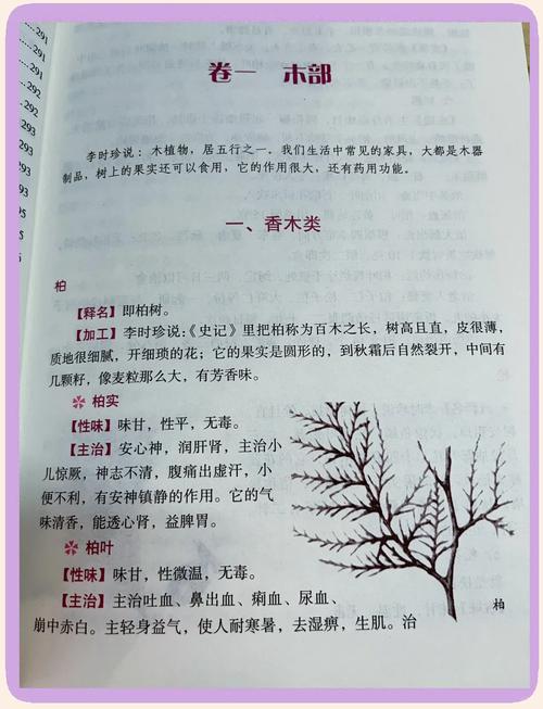本草纲目在线阅读｜李时珍中药古籍全文查询