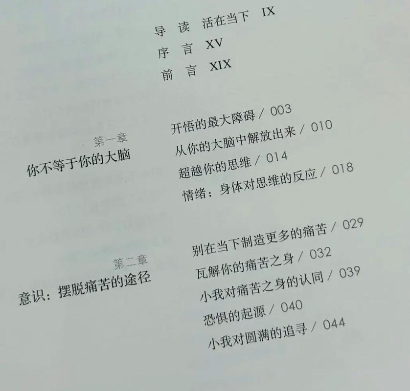 《当下的力量》在线阅读：活在当下，开启心灵觉醒之旅