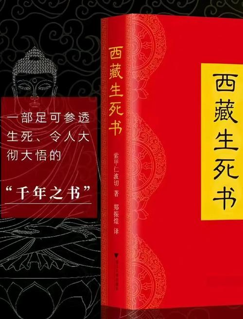 番茄小说免费在线阅读：海量热门小说全本免费看