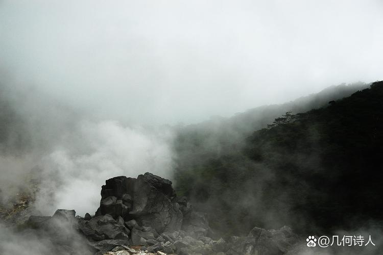 天下苍茫全文免费在线阅读 | 最新章节无弹窗