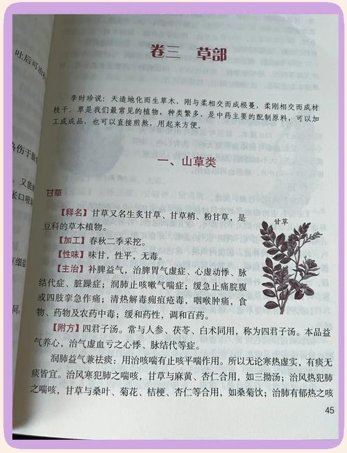 足控辣文在线阅读 - 精选足控题材小说推荐