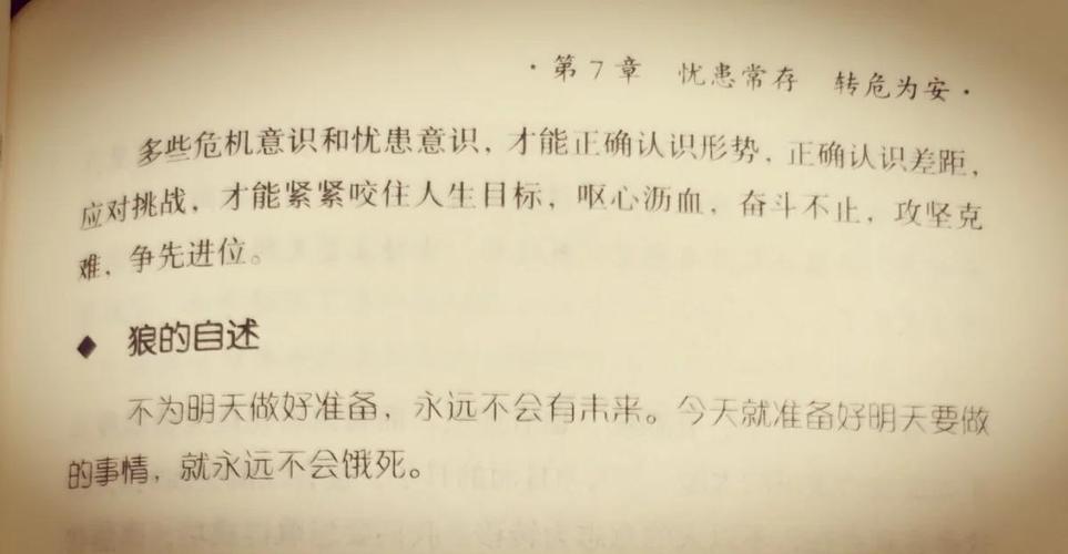 狼道在线阅读：揭秘狼性生存法则与团队管理智慧