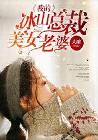 我老婆是冰山女总裁全文阅读 - 热门都市言情小说在线