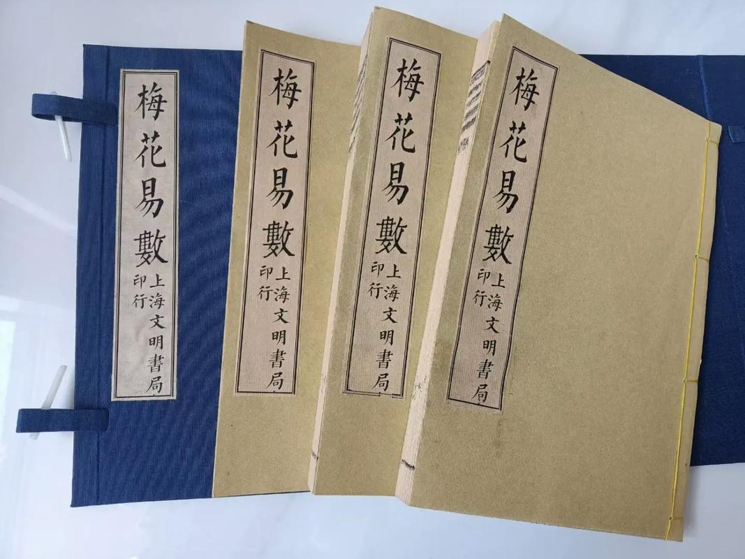 梅花易数在线阅读:快速入门自学指南与免费占卜技巧