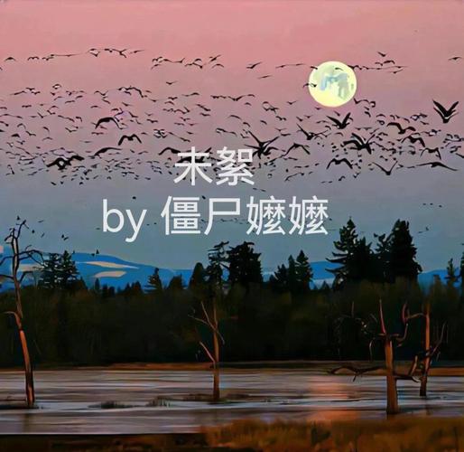《青本佳人》全文在线阅读|热门言情小说免费阅读