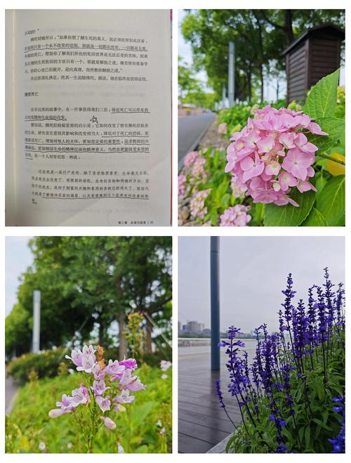 齐鲁晚报电子版在线阅读，一键获取最新新闻资讯