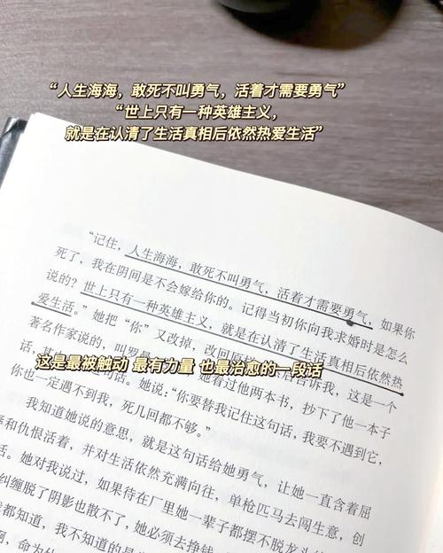 灵境行者全文在线阅读 - 热门玄幻小说无弹窗