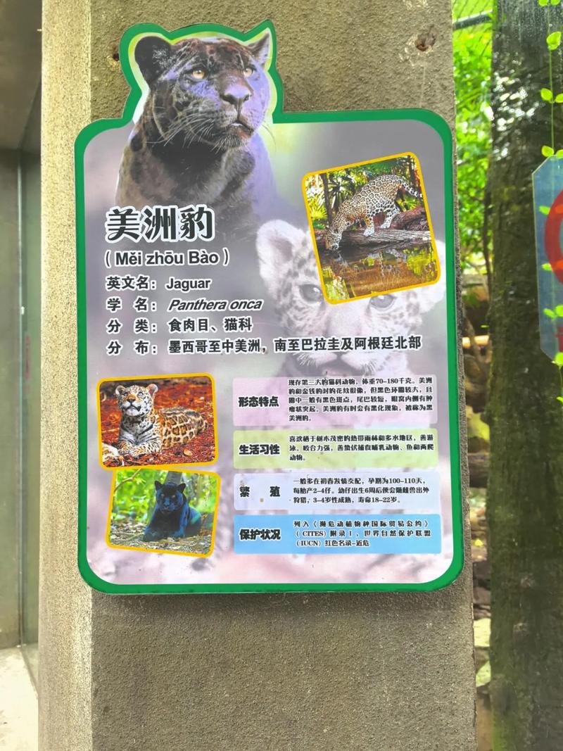羊皮卷在线阅读1-10：经典励志全书完整版