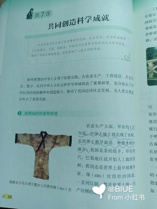 我们的四十年小说全文在线免费阅读