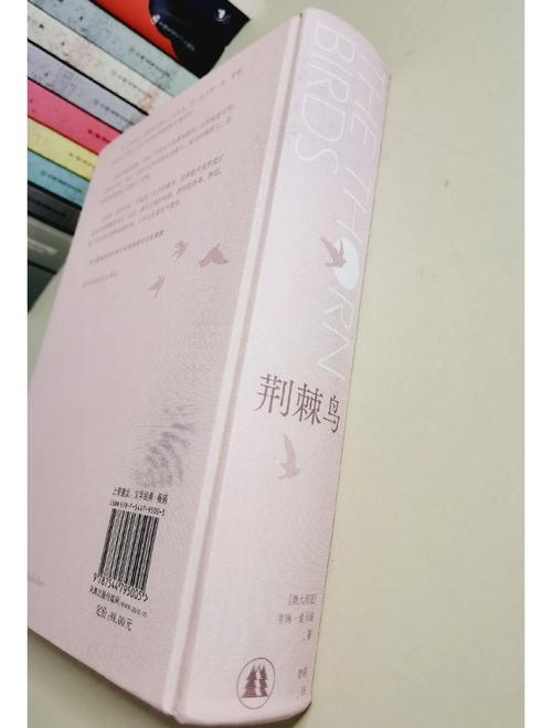 SEO实战密码在线阅读：从入门到精通的全套SEO技巧