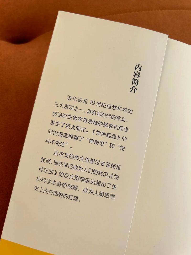《请叫我总监》全文在线阅读 | 职场励志小说