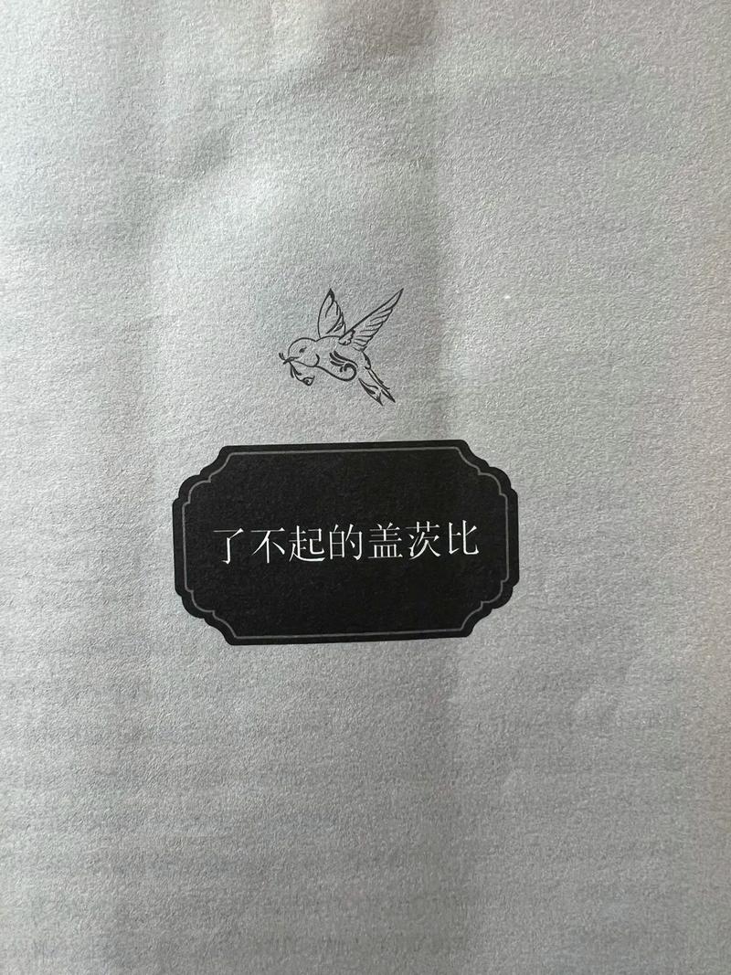 《了不起的盖茨比》在线阅读：经典菲茨杰拉德小说完整版