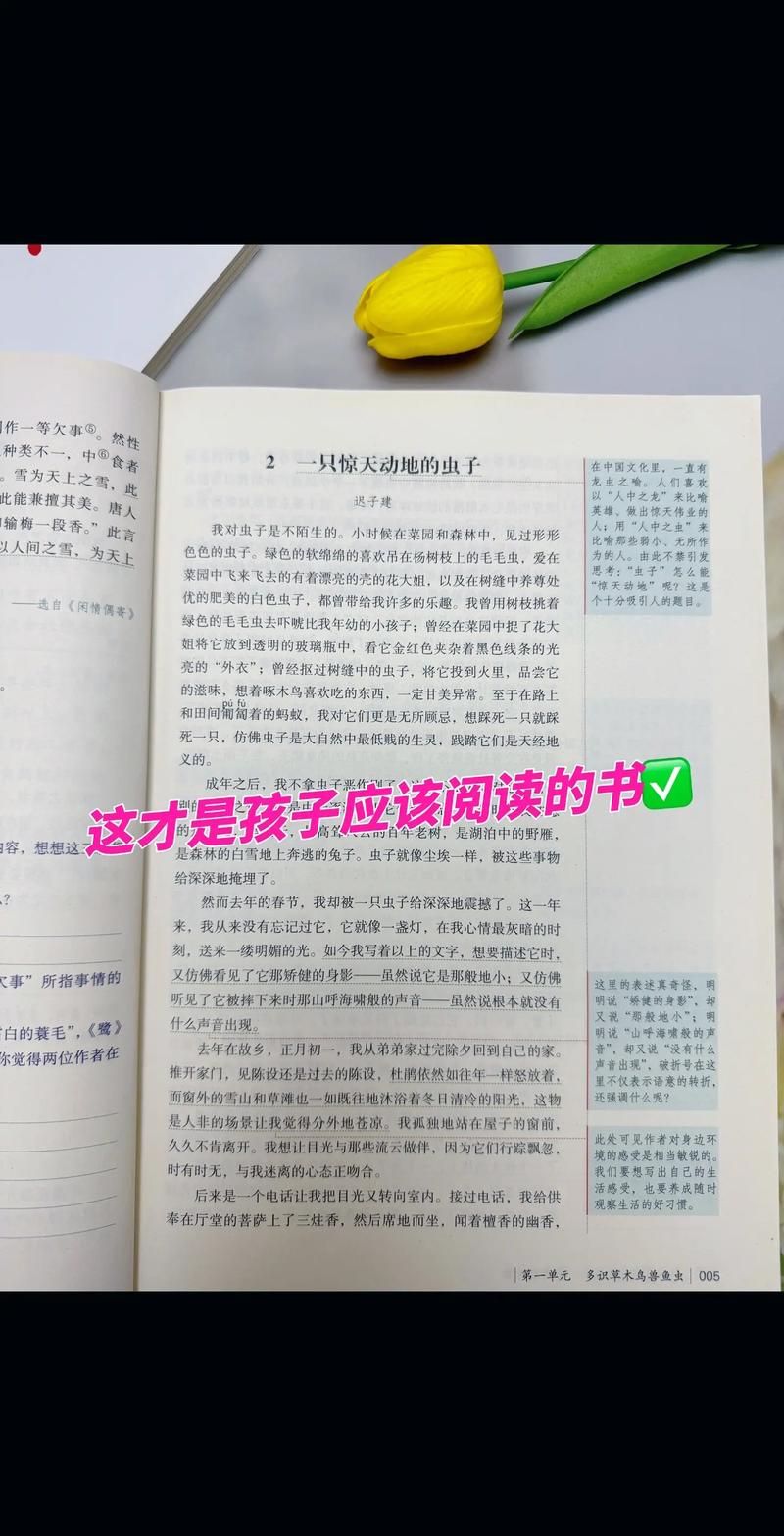 公车强女小说在线阅读 - 精选热门作品合集