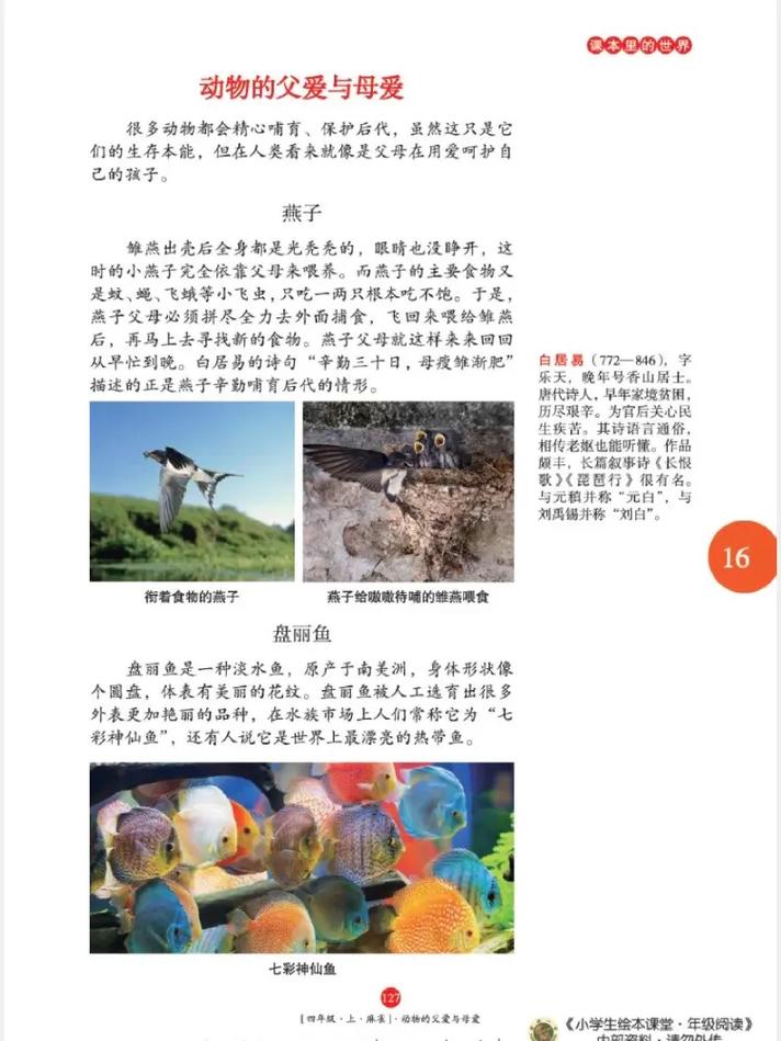 红楼梦白话文在线阅读｜完整版无删减｜高清免费