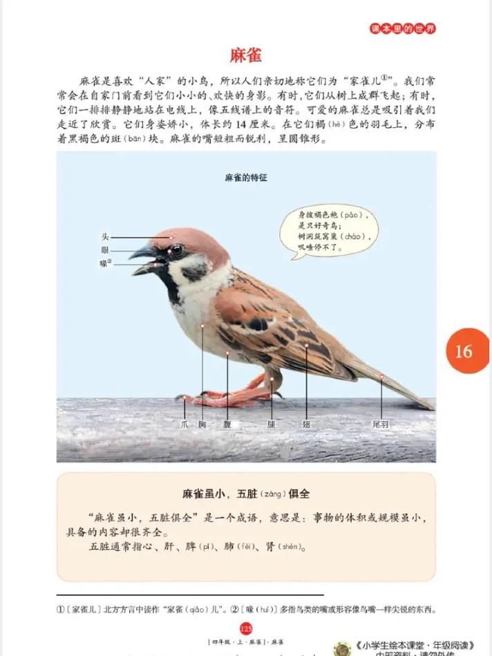 少年在线阅读全文免费阅读最新章节无广告弹窗