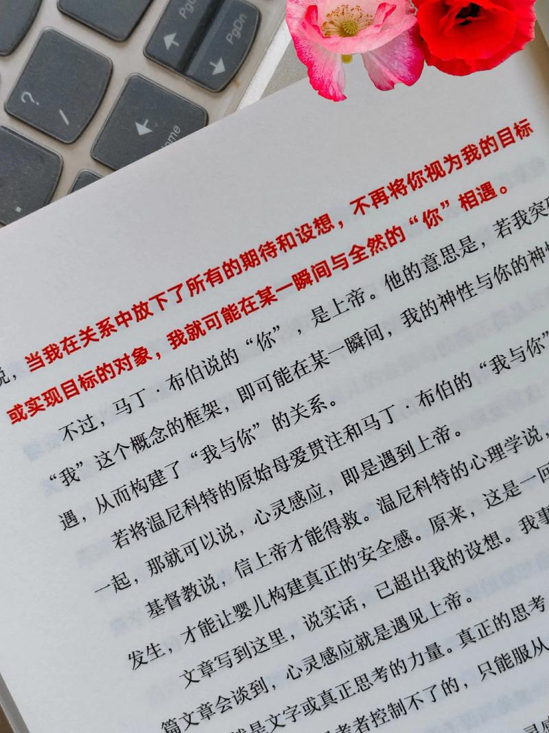 狼王梦全文免费在线阅读 | 沈石溪经典动物小说