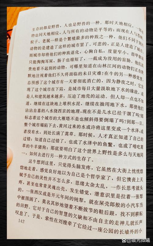 废都小说在线免费阅读,完整版无删减