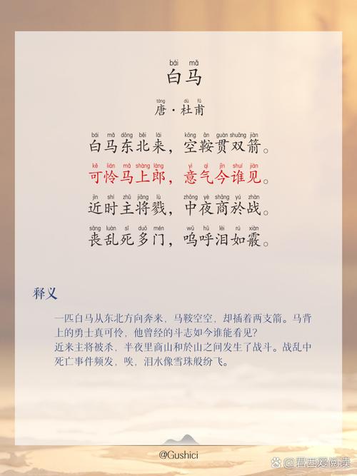 纸玫瑰全文免费在线阅读 | 最新章节无弹窗