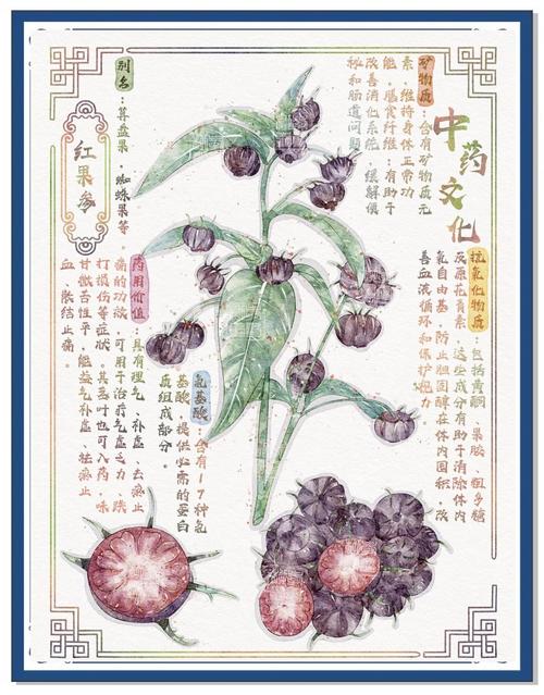 意林在线阅读手机版 - 掌上经典,随时悦读美文
