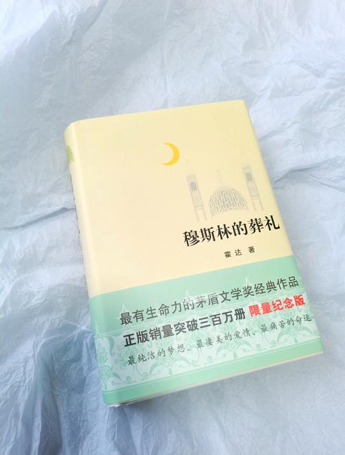 穆斯林的葬礼在线阅读 | 完整版无删减