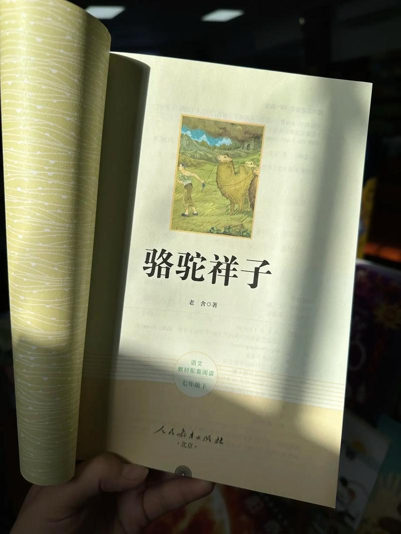 《黑道学生2》全文免费在线阅读 | 热血黑道小说推荐