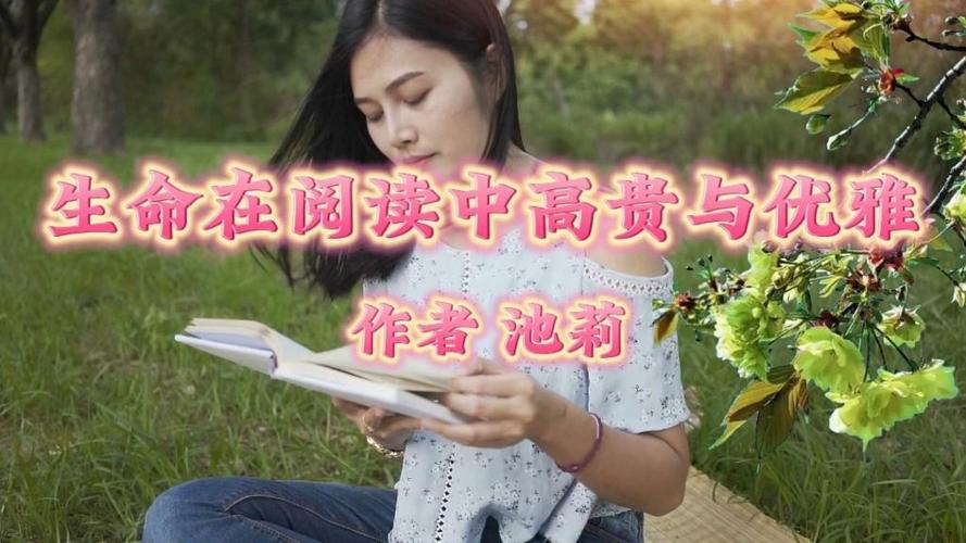 甲方大佬乙方在线阅读：揭秘高效团队协作与知识共享新方式