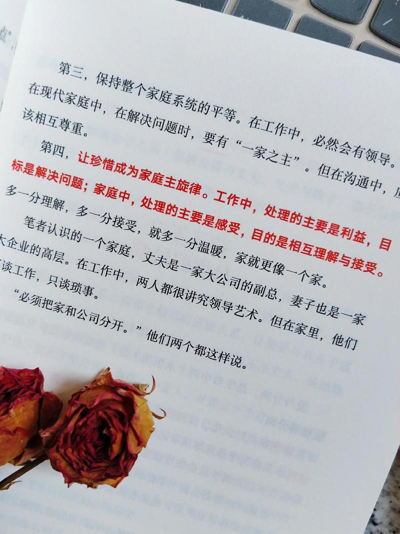 《穆斯林的葬礼》全文在线阅读 | 经典必读