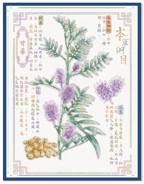 小雪婷的性欢日记在线阅读 - 完整章节