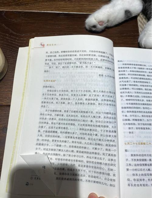 咒术回战漫画在线观看免费阅读 | 最新剧情更新